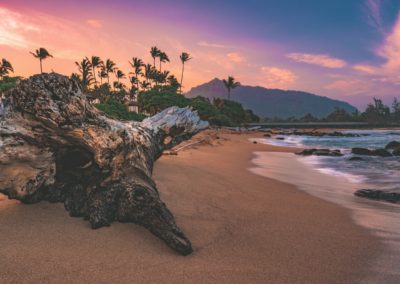 East Shore Kauai